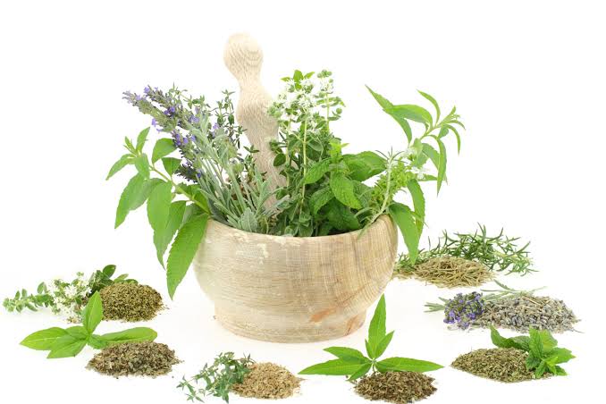 Dr. Mulogo – African Traditional Spiritual Healer